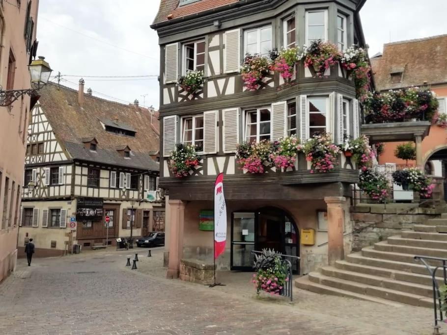 Appartement Cosy - Centre De Barr - Route Des Vins Exterior foto